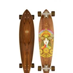 Componets Arbor Fish B4BC Solstice Longboard