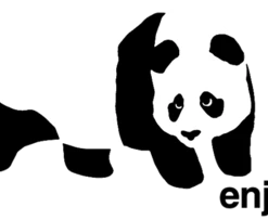 Componets Enjoi Skateboard Decks